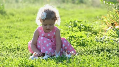 A Child in a Pink Dress Plays with White Rabbits in the Garden