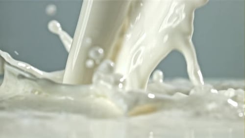 Frische Milch mit Spritzern, gefilmt mit einer Hochgeschwindigkeitskamera mit 1000 Bildern pro Sekunde