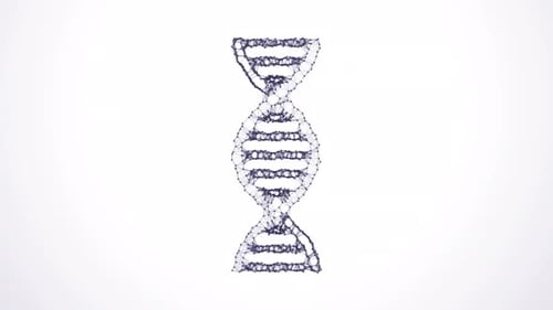 DNA Plexus Schleifenlicht