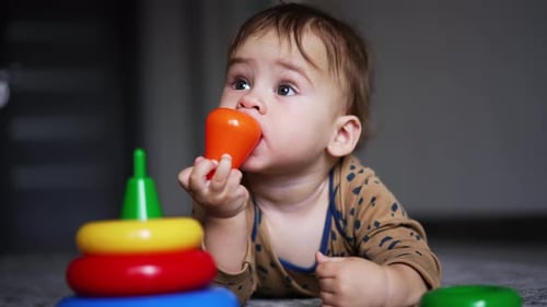 Little lovely baby boy lies on the floor chewing a toy.
