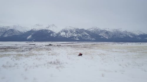a Lone Rider Gallops Through the Snow View From a Drone