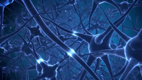 Neural Network Sending Electrical Signals with Flashing Synapses
