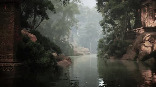 Rivière traversant une forêt verdoyante