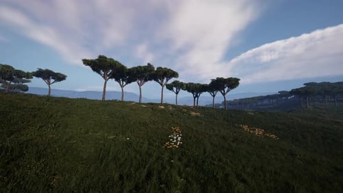 Distant Scattered Acacia Trees Covering Hills in African Landscape in Namibia