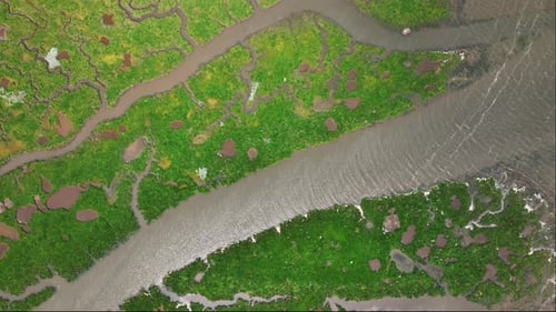 Aerial view of river tyne salt marsh and wetlands, United Kingdom.