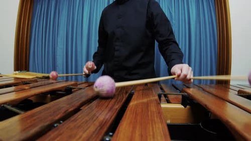 Musician Plays Xylophone with Mallets Close Up