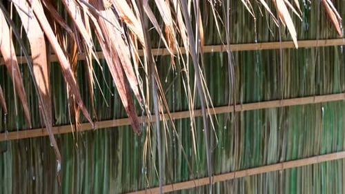 Rainfall on Palm Leaf Roof