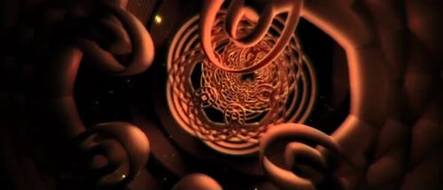 Orange Flower Shining Animation Background