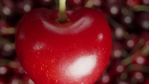 Red Heart Shaped Cherry on pile of Cherries