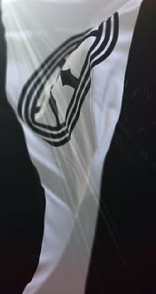 Waving Flag Logo Reveal Animation