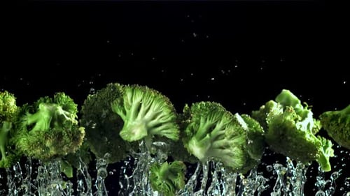 Broccoli Rises and Falls Filmed on a Highspeed Camera at 1000 Fps
