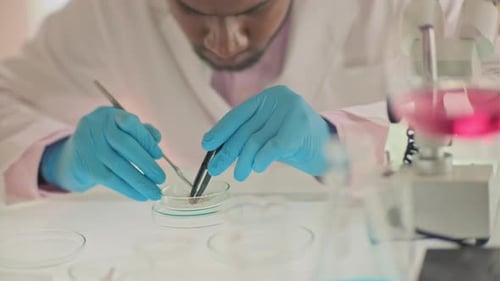 Scientist Working in Laboratory with Scientific Equipment
