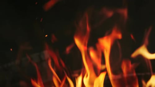 Burning Fire Flame Closeup in Fireplace