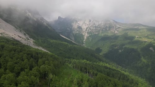 Beautiful mountain peaks in the clouds surrounded by a dense green forest. Alpine atmosphere.