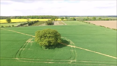 Just one view of the tens of thousands of views of the stunning British countryside enjoyed by milli