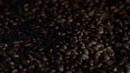 Roasted Coffee Beans with Rich Texture