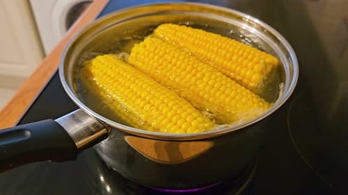 Bright Corn Boils in Water on Stove