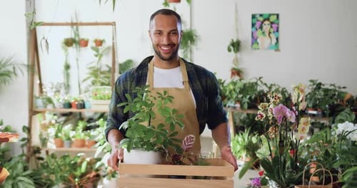 Portrait of african american man in apron standing in modern flower shop holding wooden box pot