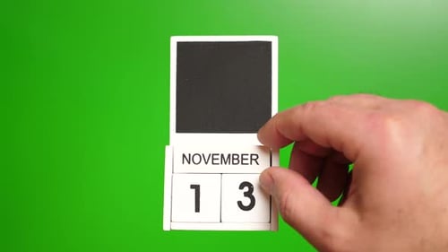 Calendar Showing November 13th Date on Green