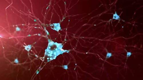 Animação de células neuronais. Atividade das células nervosas no cérebro