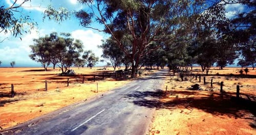 Winding Road Through Eucalyptus Trees Under a Clear Blue Sky in Australia
