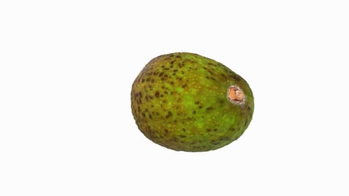 Avacado isolated on white background