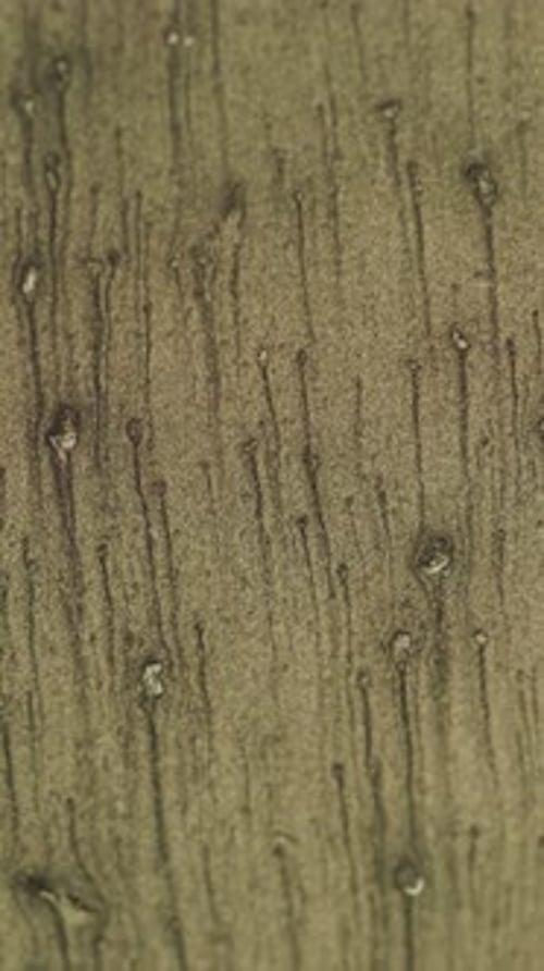 Close Up of Patterned Surface with Water