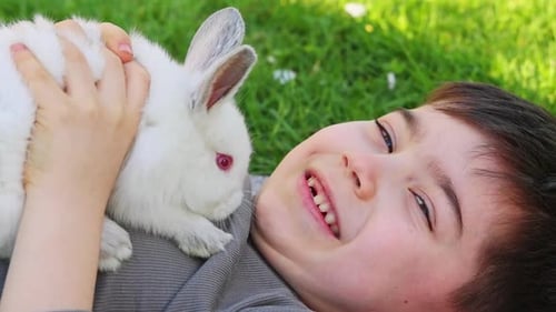 kids sibling are playing with white baby rabbits outside in park or garden sitting on picnic blanket