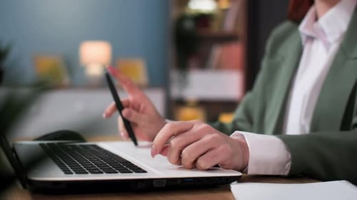 Adult Working on Laptop at Desk