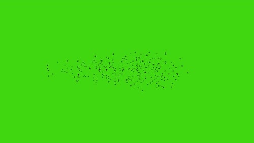 Birds green screen wide shot - 4k