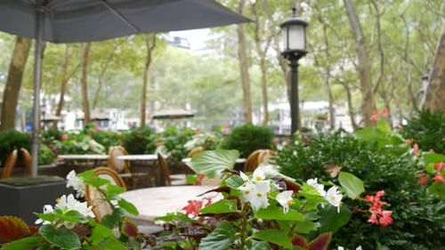 New York City Manhattan Midtown Bryant Park with Public Library 42 Street and Fifth 5 Avenue USA