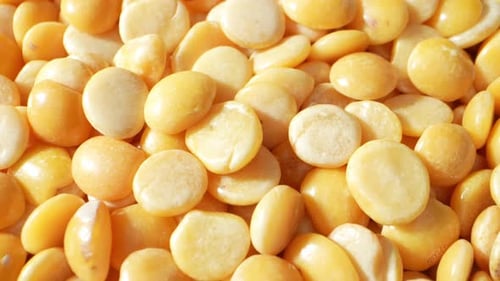 Heap of Delicious Yellow Dried Split Peas