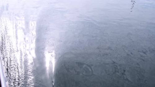 Water Moving on the Ocean on a Bright Day