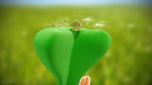 Detailed Flower Fertilization Process: Pollen Tube to Ovule