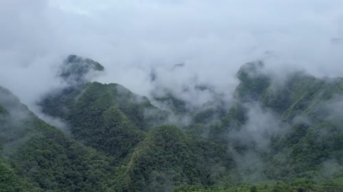 Luftaufnahme der üppigen grünen Berge, die von dichtem Nebel umhüllt sind