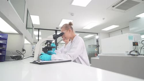 Scientists Examine Sample Under Microscope in Bright Lab