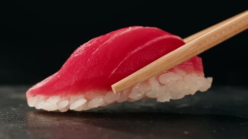 Sashimi Nigiri Platter Japanese Sushi Restaurant Fresh Tuna and Salmon Slices in Modern Cafe