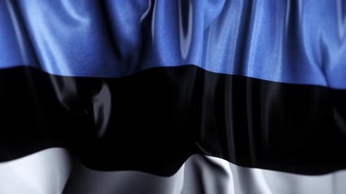 Realistic Waving Estonia Flag Seamless Loop Background