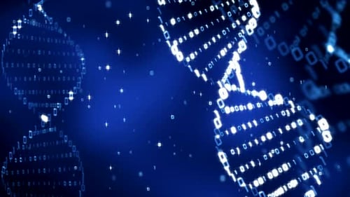 DNA double helix structure with network connections