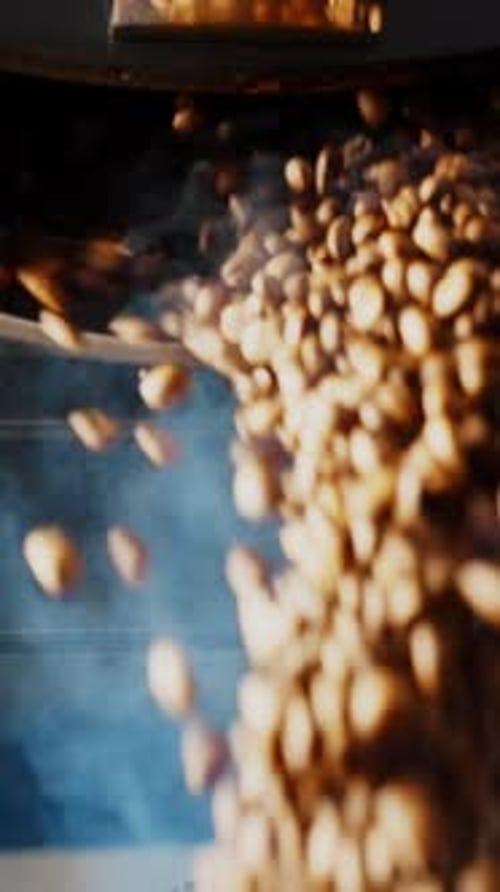 Close Up of Coffee Beans in Roaster