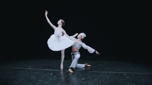Die Balletttänzerin und die Ballerina erstarrten in der schönen Position des klassisch Balletts.