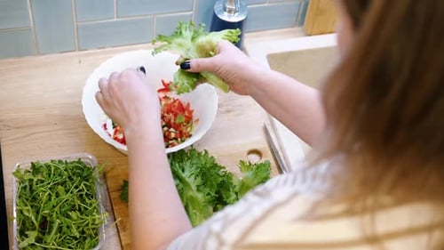 Vegetable Fresh Salad Woman Cooking a Green Salad with Cucumbers Onion Lettuce Pepper and Tomatoes