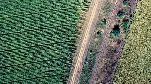Eisenbahn zwischen Feldern