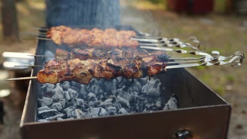 Man Roasts a Juicy Kebab Barbecue on the Grill in the Forest Cook Grills Meat Outdoors