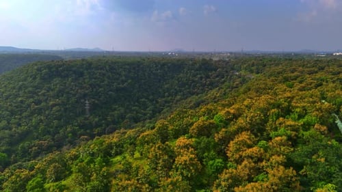 The dense forest blankets the valley's landscape, with tall trees stretching across the rolling hill