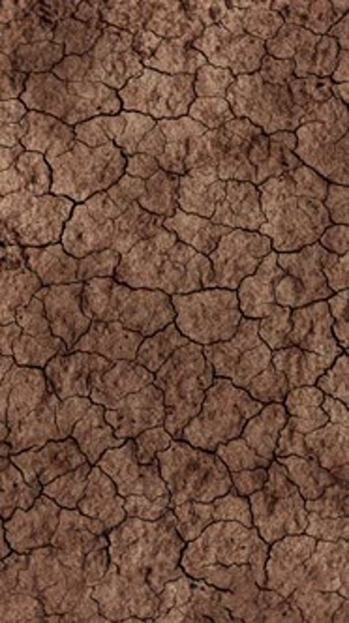 Cracked Earth Ground in the Desert Climate