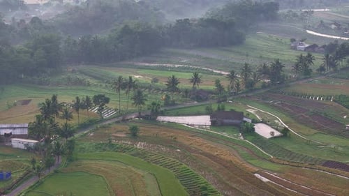 Beautiful aerial landscape of green rice terraces and tropical countryside