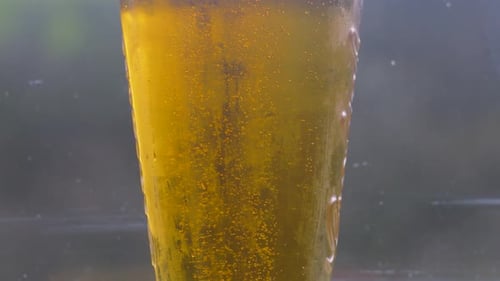Pan Up Shot of Fresh Cool Lager Beer in Pint Glass with Bubbles Rising in Slow Motion.