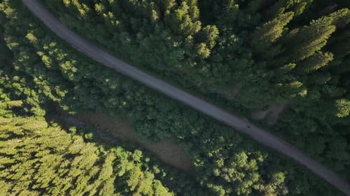 Bird's Eye View Of A Road With Bicycle Through Dense Conifer Forest In Norway.
