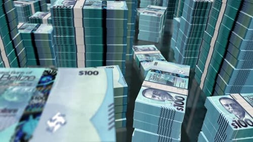 3d flight over Belize dollars money banknote packs loop